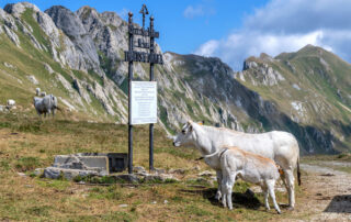 Valle Tanaro - ph. R. Croci - Archivio ATL del Cuneese